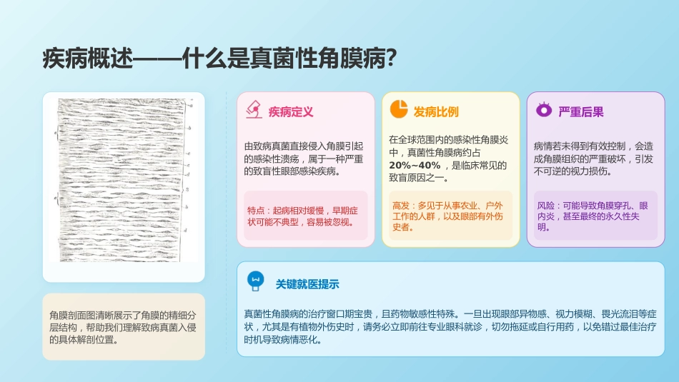 真菌性角膜病规范化护理与临床实践_第3页