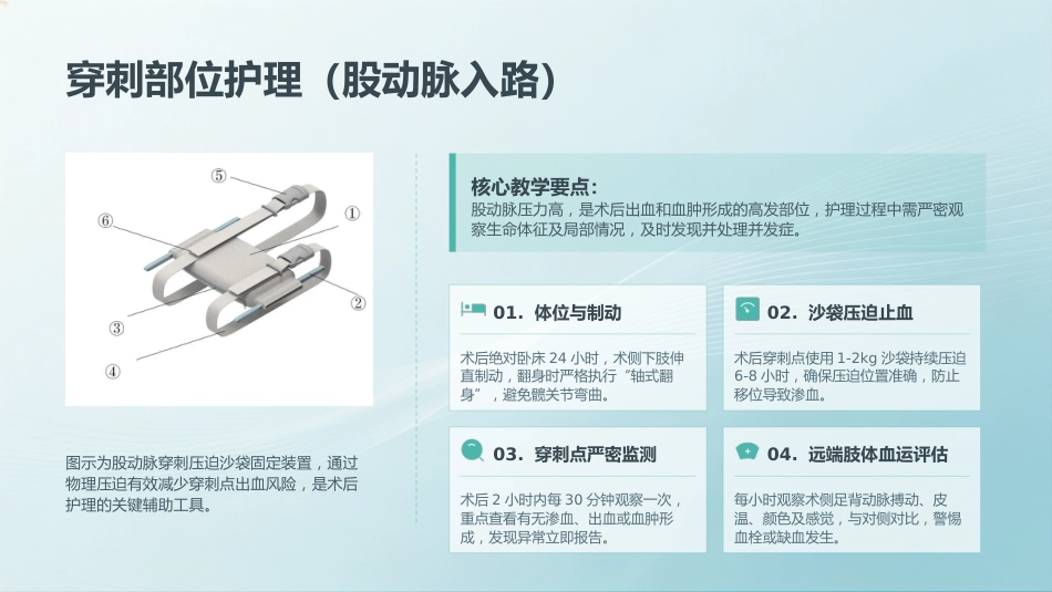 脑血管介入术后护理教学查房_第9页