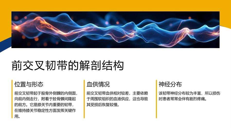 前交叉韧带损伤护理查房课件_第5页
