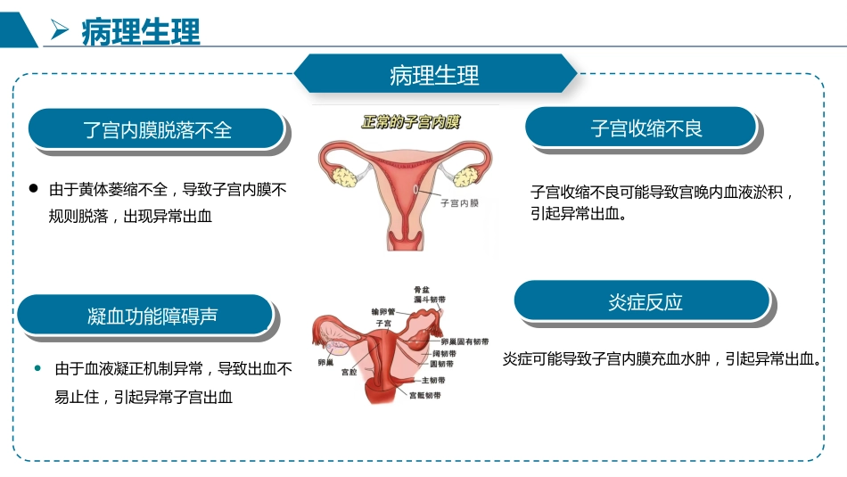 一例异常子宫出血患者护理查房_第5页