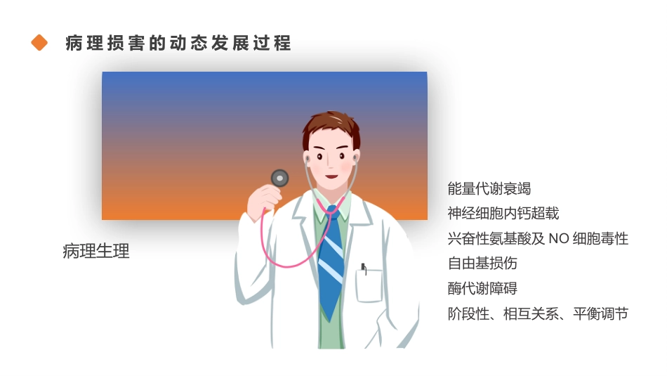 脑梗塞的分型分期治疗01_第11页