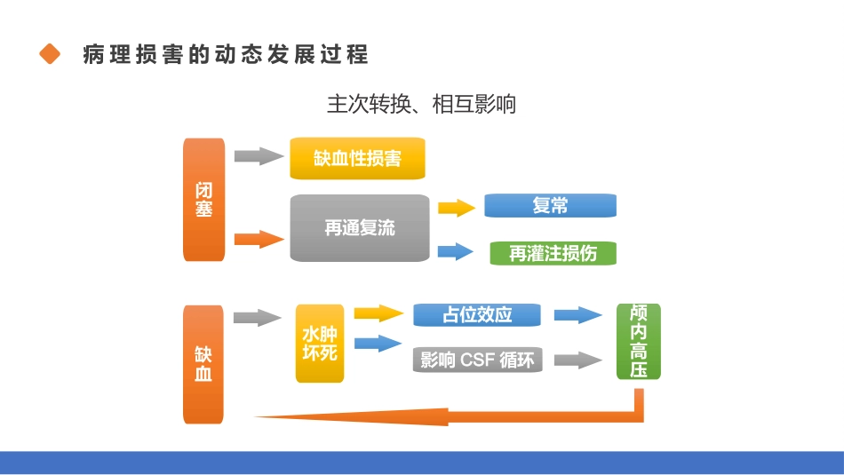 脑梗塞的分型分期治疗01_第12页