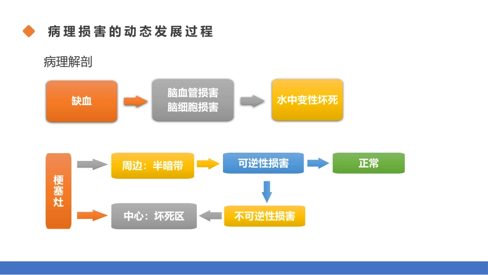 脑梗塞的分型分期治疗01_第7页