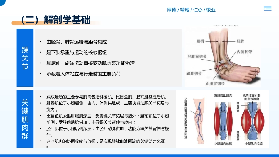 踝泵运动健康宣教01_第8页