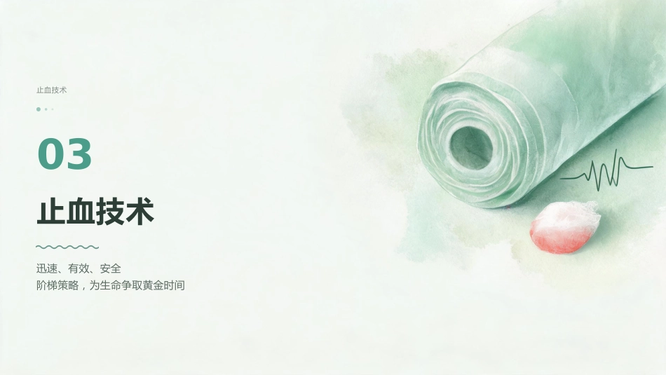 黄金时刻·止血先行 — 创伤初步评估与包扎止血_第14页