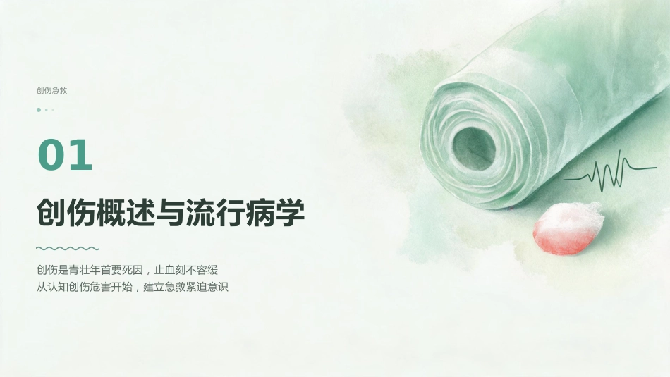 黄金时刻·止血先行 — 创伤初步评估与包扎止血_第3页