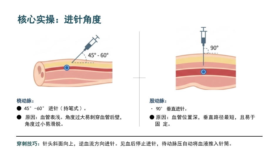 动脉采血技术_第15页