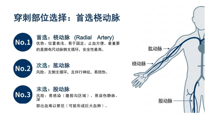 动脉采血技术_第4页