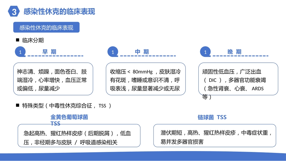 感染性休克的护理_第12页