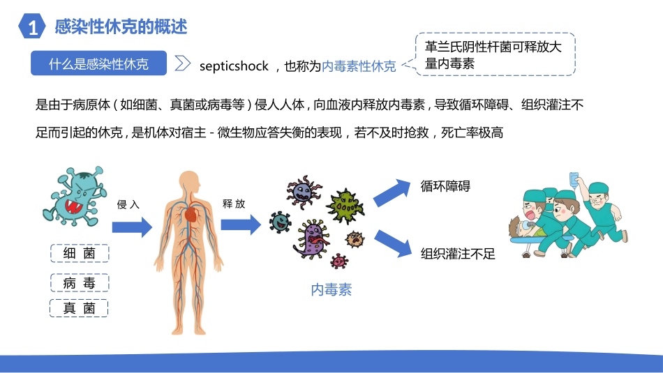 感染性休克的护理_第4页