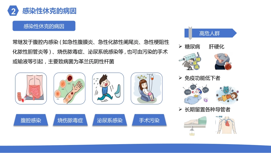 感染性休克的护理_第8页