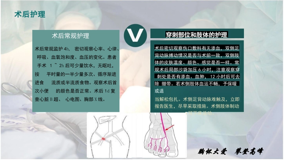 一例卵圆孔未闭患者的个案护理_第15页