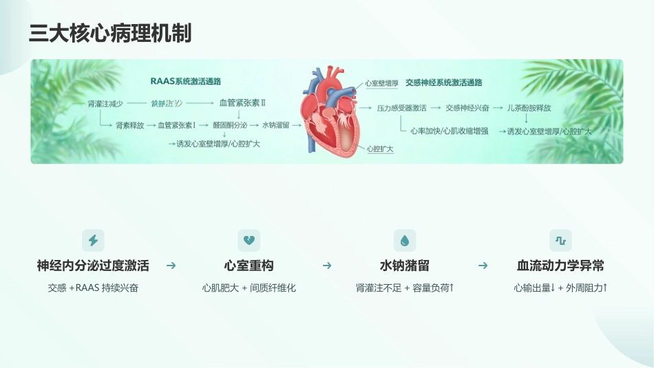 从指南到实践：慢性心力衰竭系统化护理管理_第8页