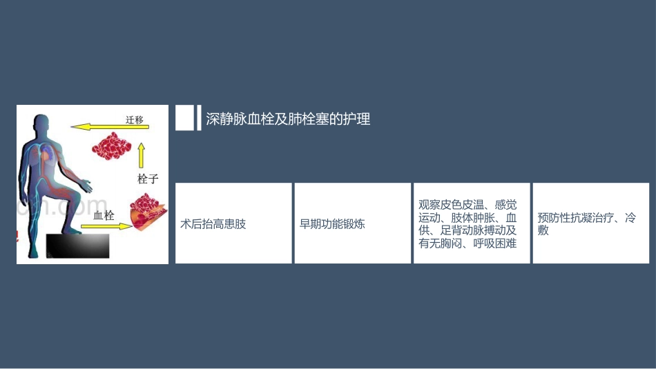 髋关节置换术后护理（21页）_第13页