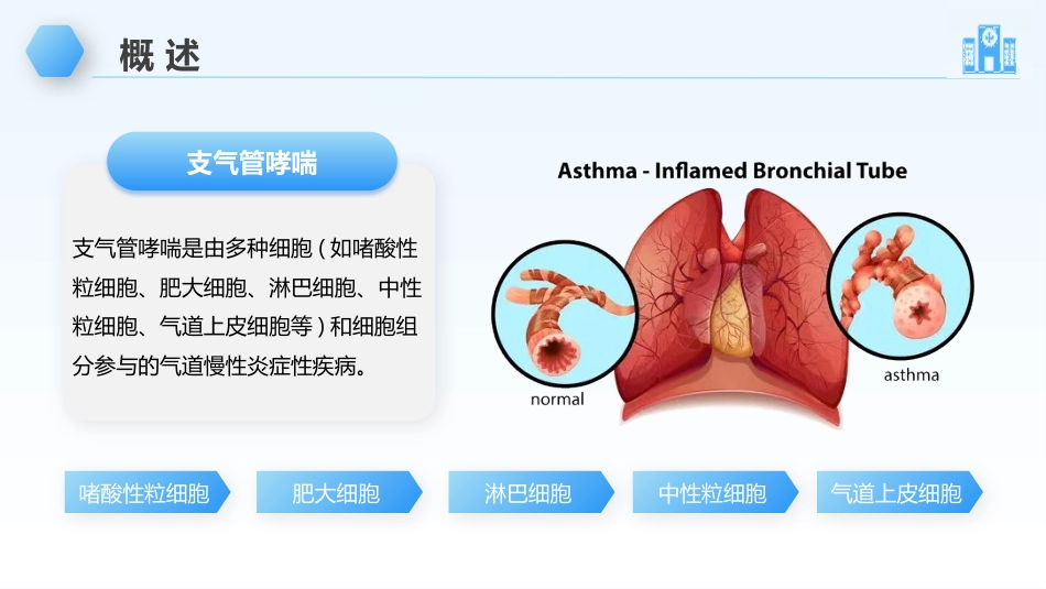 支气管哮喘的护理_第5页
