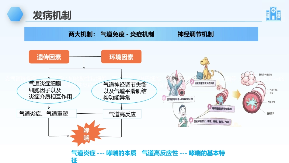 支气管哮喘的护理_第7页