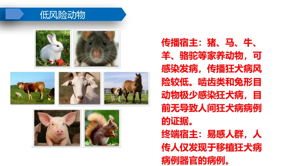 狂犬病及破伤风规范预防_第12页