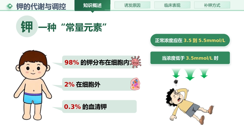 低钾血症的护理01_第4页