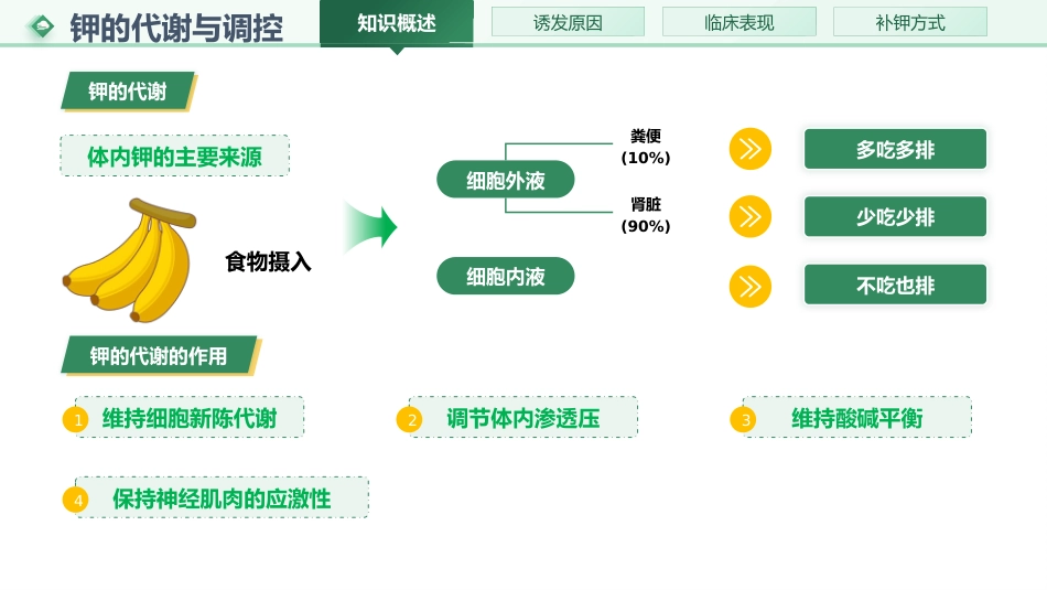 低钾血症的护理01_第5页