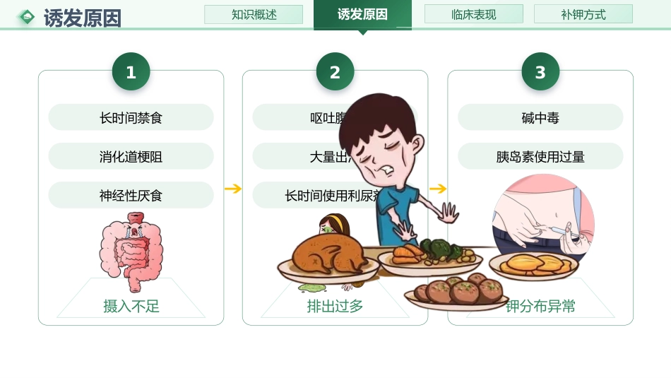 低钾血症的护理01_第6页