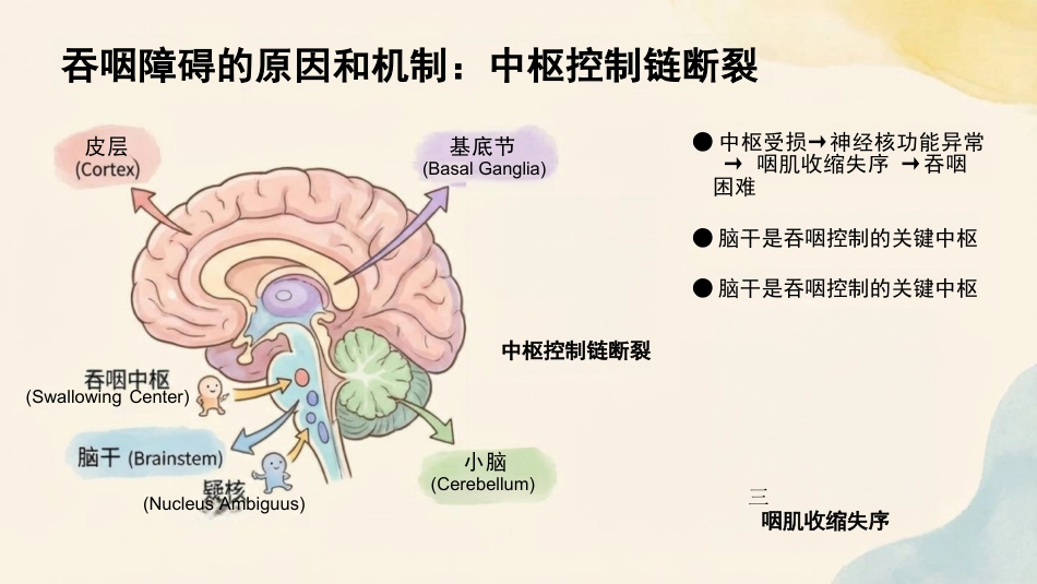 卒中后吞咽无忧进食护理全图解_第5页