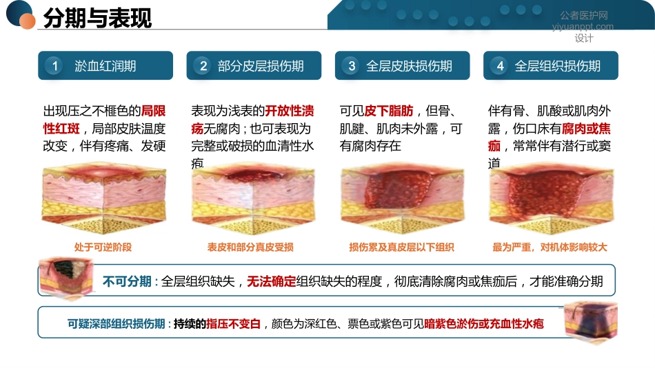 压力性损伤评分表详解-2_第5页