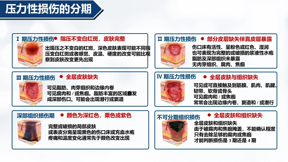 压伤的预防与护理PPT-2_第5页