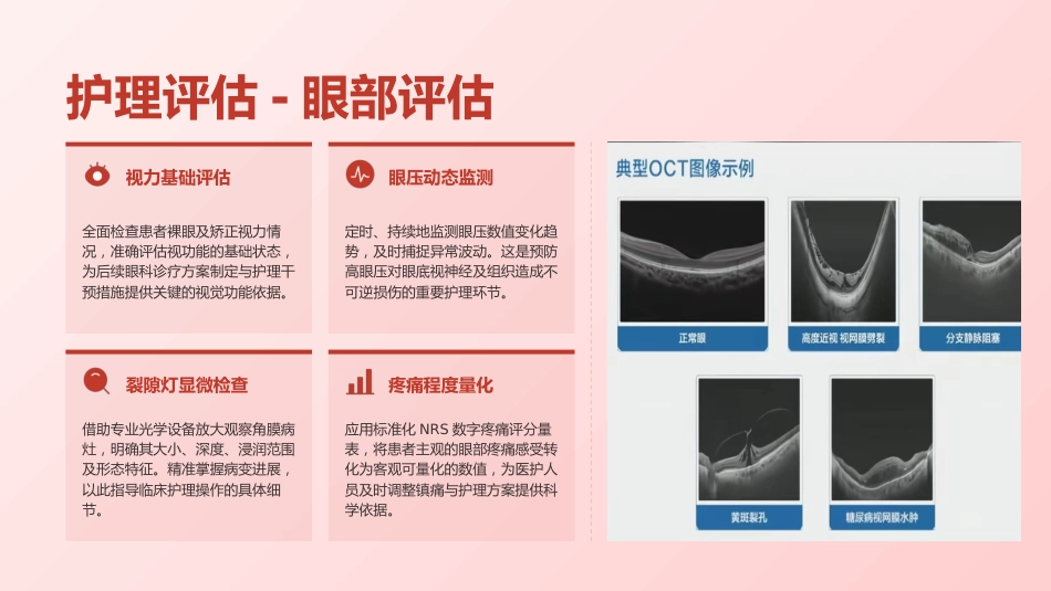 定制-真菌性角膜病规范化护理与临床实践(7)_第15页