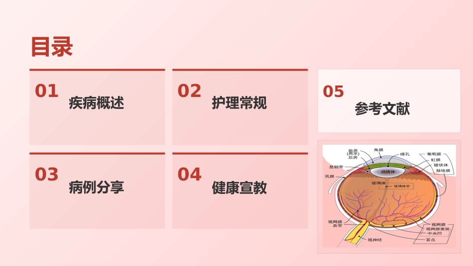 定制-真菌性角膜病规范化护理与临床实践(7)_第2页