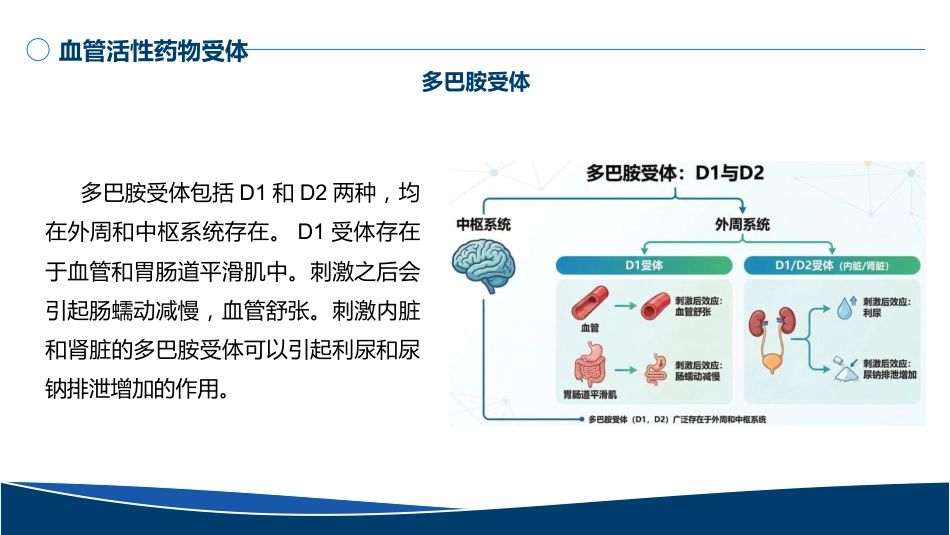 血管活性药物的规范使用PPT无水印版_第12页