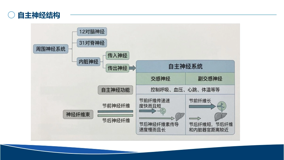 血管活性药物的规范使用PPT无水印版_第6页