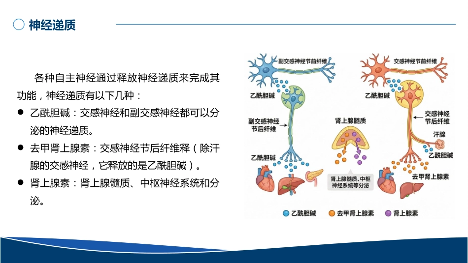 血管活性药物的规范使用PPT无水印版_第8页