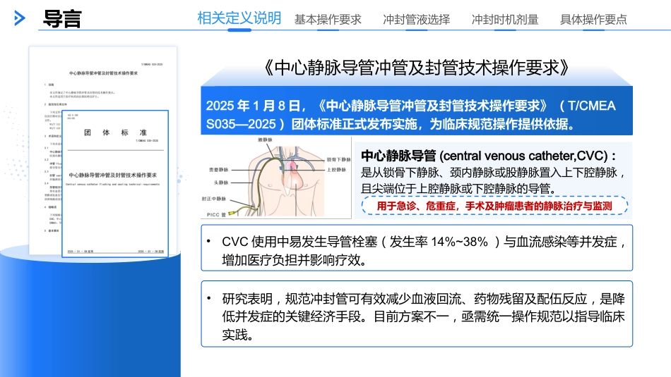中心静脉导管冲管及管技术操作要求（2025）_第2页