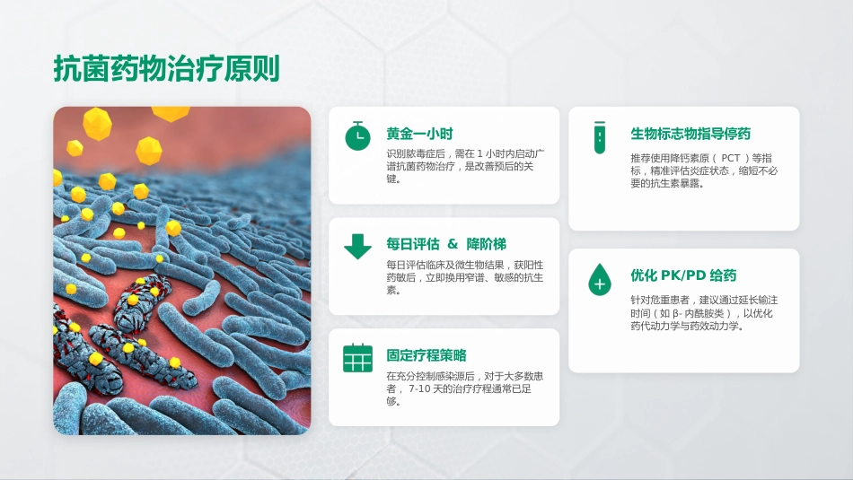SSC_2026指南：脓毒症和感染性休克管理国际指南_第8页