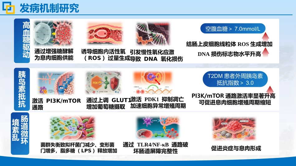 肠息肉合并二型糖尿病中医护理个案_第7页