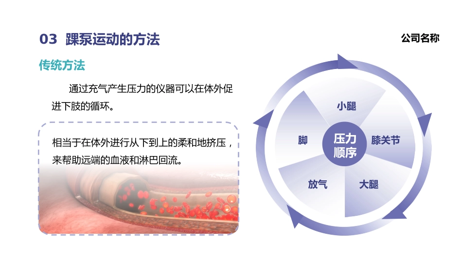 踝泵运动培训_第11页