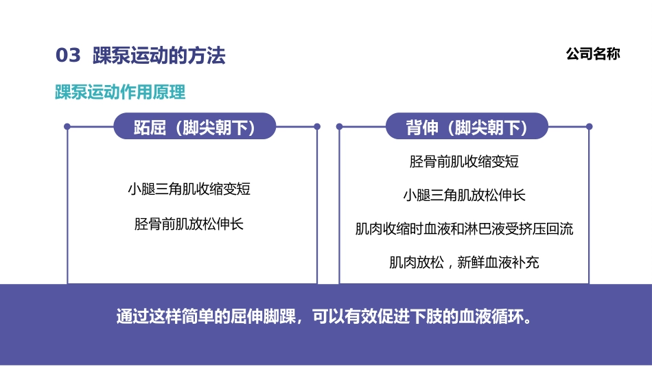 踝泵运动培训_第13页