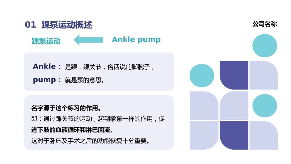 踝泵运动培训_第4页
