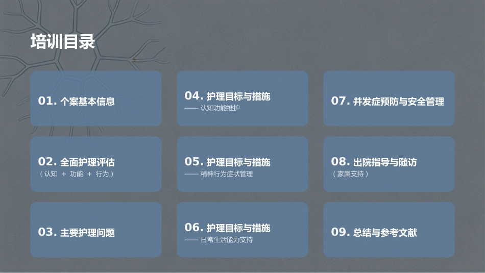 阿尔茨海默病个案护理PPT_第2页