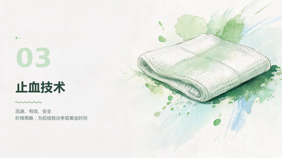 从评估到止血 — 创伤急救初步处置全流程_第14页