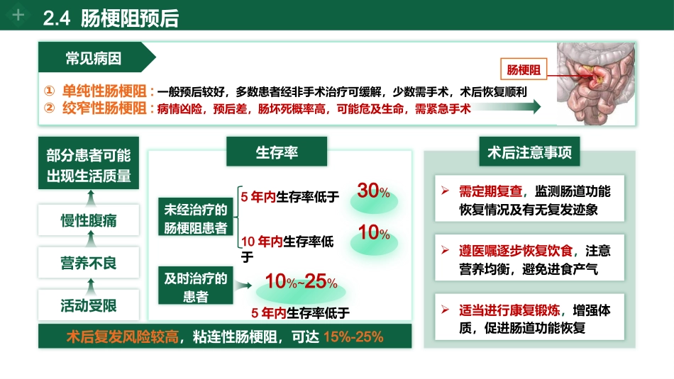 肠梗阻个案护理_第7页