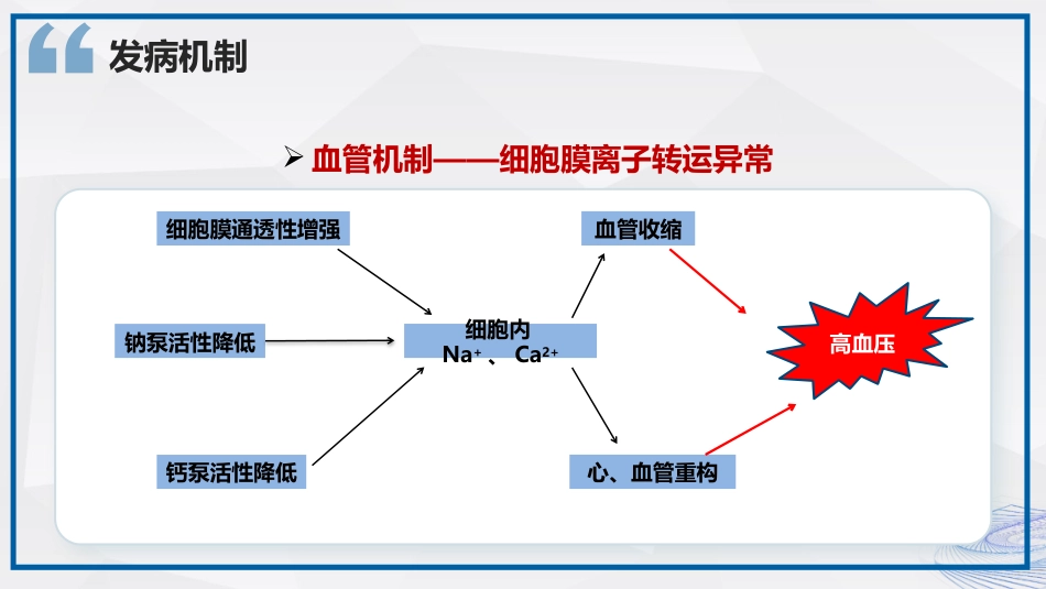高血压的护理及健康科普_第12页