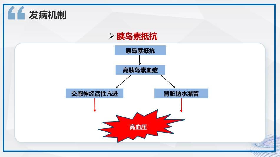 高血压的护理及健康科普_第13页