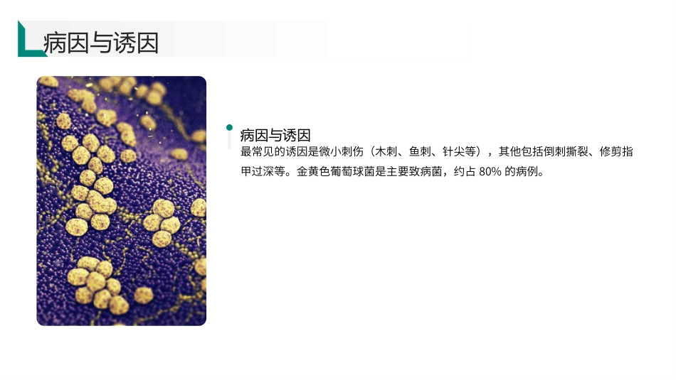 脓性指头炎护理查房带参考文献_第6页