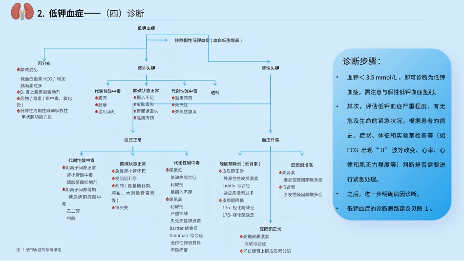 中国慢性肾脏病患者血钾管理实践专家共识_第15页