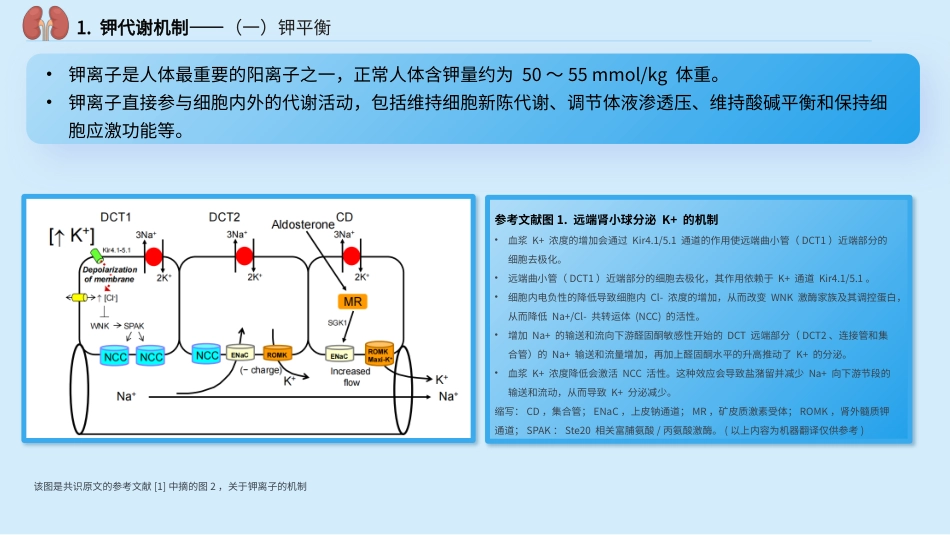 中国慢性肾脏病患者血钾管理实践专家共识_第4页