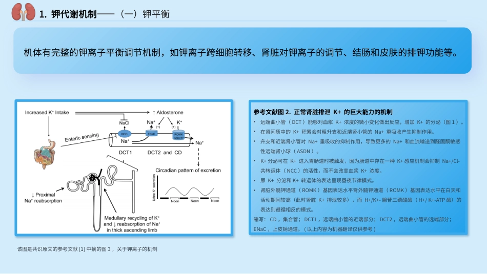 中国慢性肾脏病患者血钾管理实践专家共识_第5页