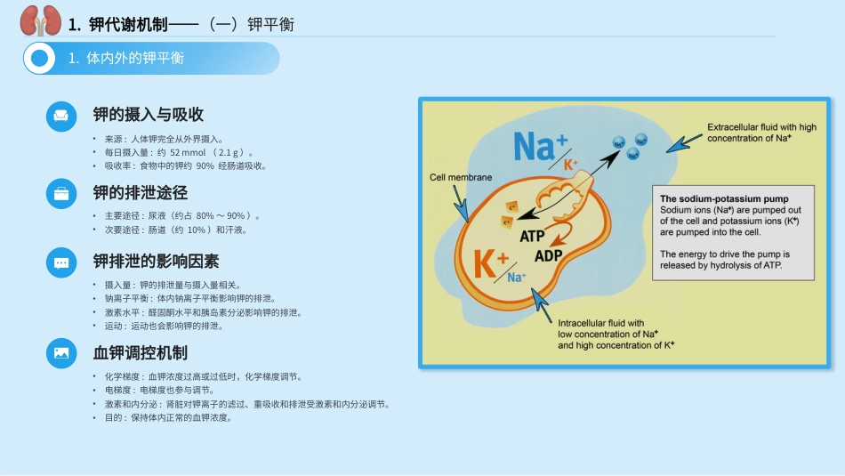 中国慢性肾脏病患者血钾管理实践专家共识_第6页