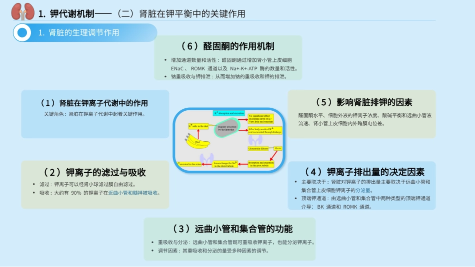 中国慢性肾脏病患者血钾管理实践专家共识_第8页