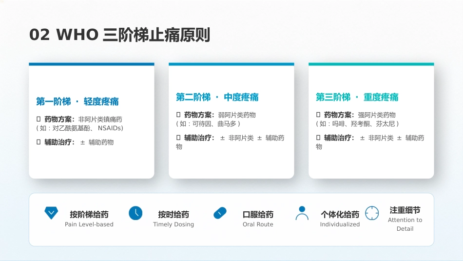 癌痛的阶梯用药—定制_第5页